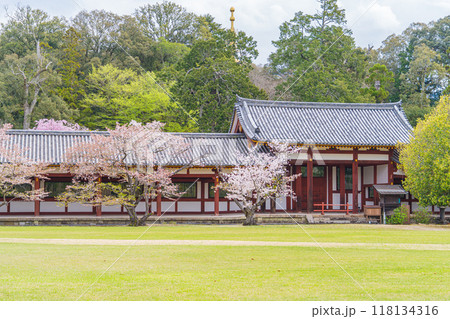 日本の奈良県の東大寺の風景 日本の奈良県の東大寺の風景 118134316