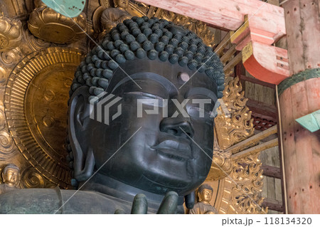 日本の奈良県の東大寺の大仏殿の大仏 118134320