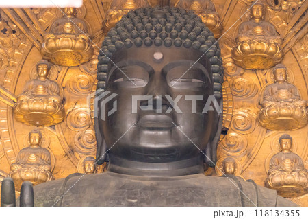 日本の奈良県の東大寺の大仏殿の大仏 日本の奈良県の東大寺の大仏殿の大仏 118134355