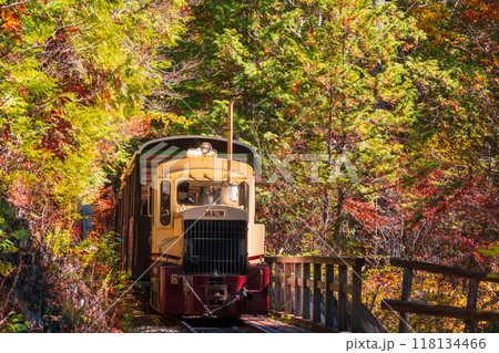 赤沢自然休養林：赤沢森林鉄道トロッコ列車 118134466