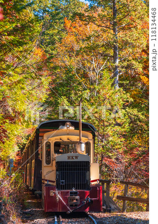 赤沢自然休養林:赤沢森林鉄道トロッコ列車 赤沢自然休養林:赤沢森林鉄道トロッコ列車 118134468