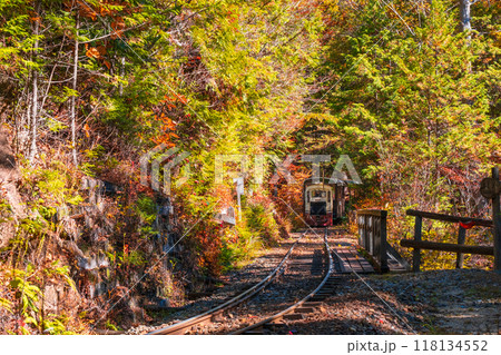 赤沢自然休養林：赤沢森林鉄道トロッコ列車 118134552