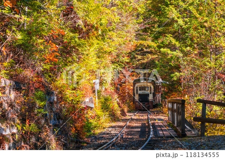 赤沢自然休養林：赤沢森林鉄道トロッコ列車 118134555