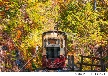 赤沢自然休養林：赤沢森林鉄道トロッコ列車 118134571