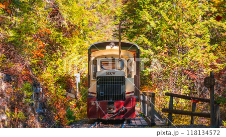 赤沢自然休養林：赤沢森林鉄道トロッコ列車 118134572