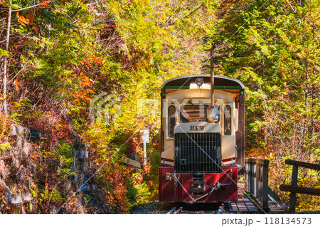 赤沢自然休養林：赤沢森林鉄道トロッコ列車 118134573