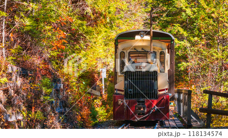 赤沢自然休養林:赤沢森林鉄道トロッコ列車 赤沢自然休養林:赤沢森林鉄道トロッコ列車 118134574