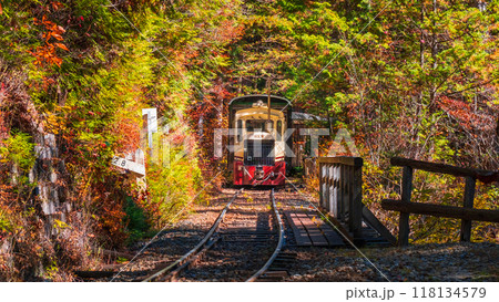 赤沢自然休養林：赤沢森林鉄道トロッコ列車 118134579