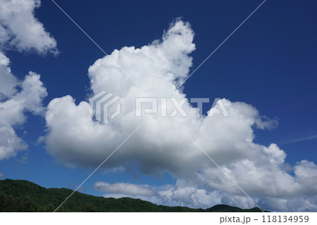 青空と夏雲 夏休みの思い出 青空と夏雲 夏休みの思い出 118134959