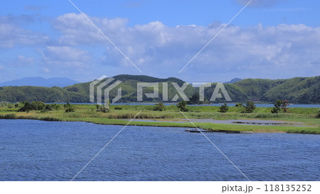 米子水鳥公園2(8月) 米子水鳥公園2(8月) 118135252