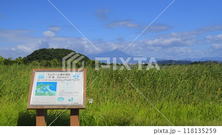 米子水鳥公園6（8月） 118135259