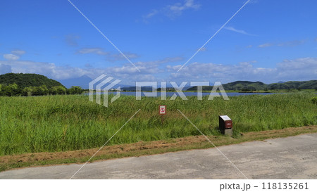 米子水鳥公園7（8月） 118135261