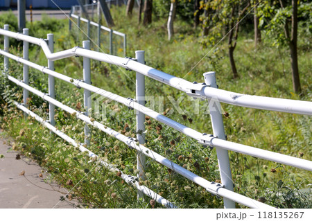 ガードレール, 歩道, 歩者分離, 柵, 道路, 屋外, 支柱, 交通, パイプ, 安全, 自動車 ガードレール, 歩道, 歩者分離, 柵, 道路, 屋外, 支柱, 交通, パイプ, 安全, 自動車 118135267