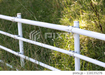 ガードレール, 歩道, 歩者分離, 柵, 道路, 屋外, 支柱, 交通, パイプ, 安全, 自動車 ガードレール, 歩道, 歩者分離, 柵, 道路, 屋外, 支柱, 交通, パイプ, 安全, 自動車 118135276