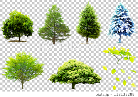 木のイラスト素材セット 118135299