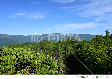 平標山、仙ノ倉山登山、群馬県 平標山、仙ノ倉山登山、群馬県 118136079