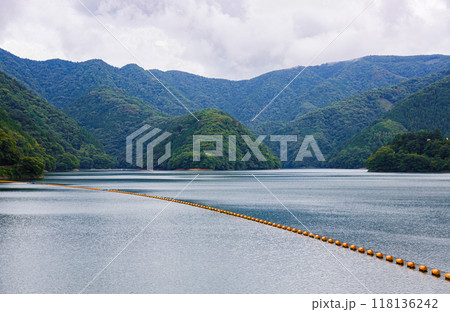 ダム湖に架かる水上フェンス　奥多摩湖　8月 118136242