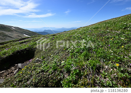 平標山、仙ノ倉山登山、群馬県 平標山、仙ノ倉山登山、群馬県 118136280