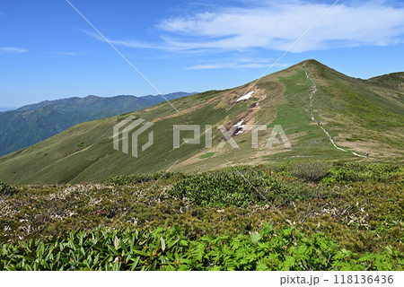 平標山、仙ノ倉山登山、群馬県 平標山、仙ノ倉山登山、群馬県 118136436