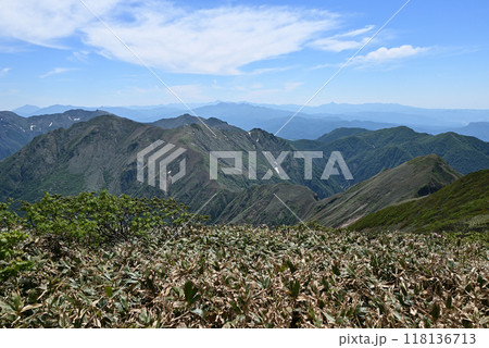 平標山、仙ノ倉山登山、群馬県 平標山、仙ノ倉山登山、群馬県 118136713