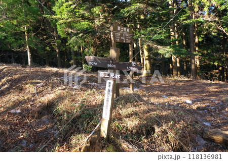 富士見峠(愛鷹山) 富士見峠(愛鷹山) 118136981