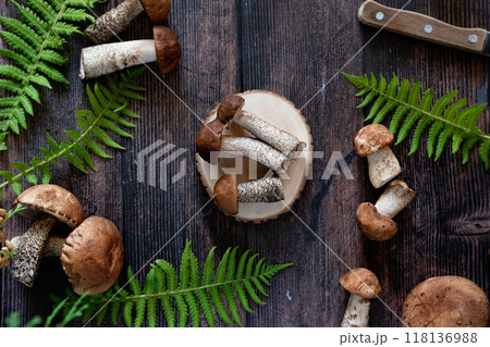 Cep or Boletus Mushroom growing on lush green moss in a forest, low angle view Cep or Boletus Mushroom growing on lush green moss in a forest, low angle view 118136988