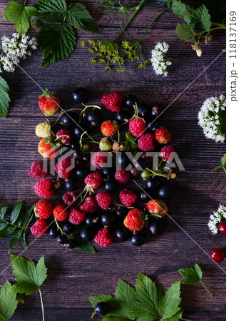Fresh berries. Red currants, blackberries, blueberries and raspberries in bowls on a large wooden board with mint leaves, strawberries and pomegranate seeds. Background image, top view, vertical Fresh berries. Red currants, blackberries, blueberries and raspberries in bowls on a large wooden board with mint leaves, strawberries and pomegranate seeds. Background image, top view, vertical 118137169