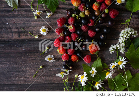 Fresh berries. Red currants, blackberries, blueberries and raspberries in bowls on a large wooden board with mint leaves, strawberries and pomegranate seeds. Background image, top view, vertical Fresh berries. Red currants, blackberries, blueberries and raspberries in bowls on a large wooden board with mint leaves, strawberries and pomegranate seeds. Background image, top view, vertical 118137170