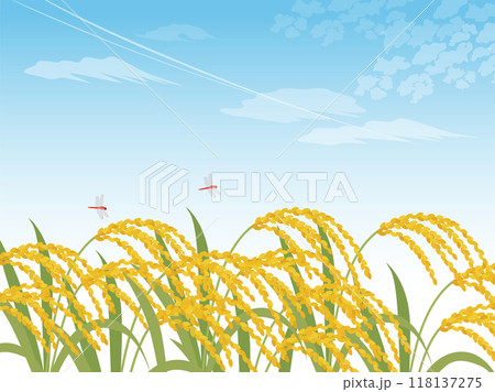 稲穂と青空の背景_ベクターイラスト 118137275