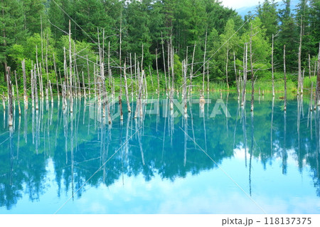 美瑛町　青い池 118137375