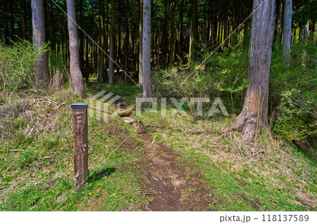 神奈川県秦野市の菩提峠駐車場からの登山道にある日本武尊の足跡の標柱 118137589