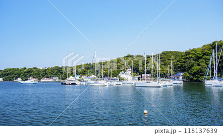 湘南の小網代湾の風景 湘南の小網代湾の風景 118137639