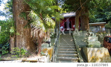 神社へ続く参道 神社へ続く参道 118137865