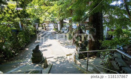 神社へ続く参道 118137867