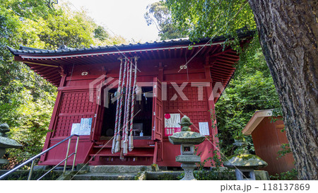 神社へ続く参道 神社へ続く参道 118137869