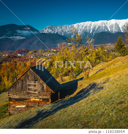 Autumn rural scenery with beautiful deciduous trees and snowy mountains 118138054
