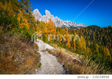 Narrow hiking trail in the autumn forest, Dolomites, Italy Narrow hiking trail in the autumn forest, Dolomites, Italy 118138056
