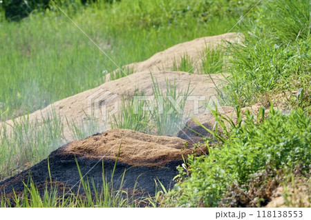 田んぼ 野焼き 田んぼ 野焼き 118138553