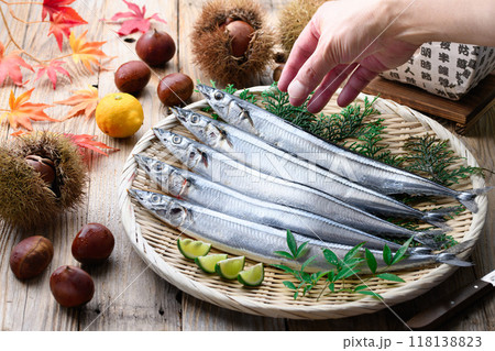 秋の味覚 北海道産 生さんま 118138823