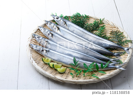 秋の味覚 北海道産 生さんま 秋の味覚 北海道産 生さんま 118138858