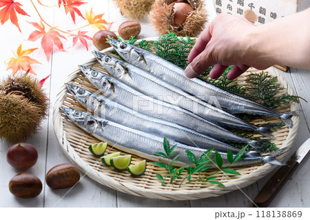 秋の味覚 北海道産 生さんま 118138869