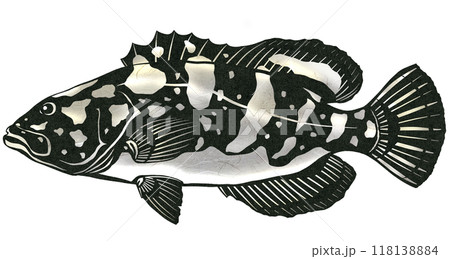 食べたことないけど超高級魚クエの切り絵イラスト 食べたことないけど超高級魚クエの切り絵イラスト 118138884