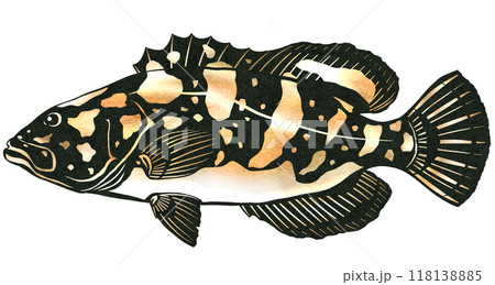 高級魚クエの切り絵イラスト 118138885