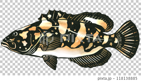 高級魚立方體的剪圖 高級魚立方體的剪圖 118138885