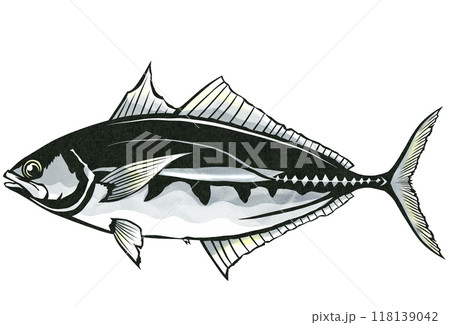 釣りに最適味最高シマアジの切り絵イラスト 118139042