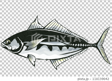 釣りに最適味最高シマアジの切り絵イラスト 118139042