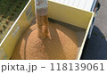 令和6年度産米コシヒカリ 118139061