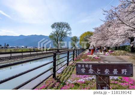 長野県安曇野市　農民たちの手で作られた灌漑用の春の拾ヶ堰と常念岳 118139142