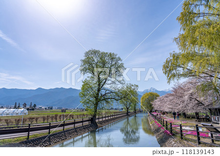 長野県安曇野市　農民たちの手で作られた灌漑用の春の拾ヶ堰と常念岳 118139143