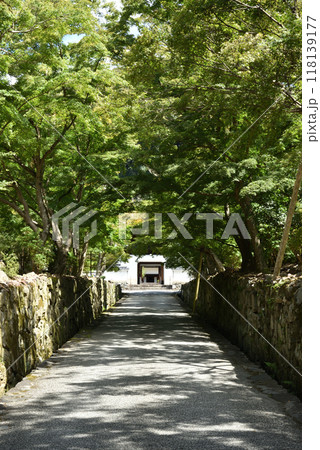 夏の琴坂 興聖寺(京都府宇治市) 夏の琴坂 興聖寺(京都府宇治市) 118139177
